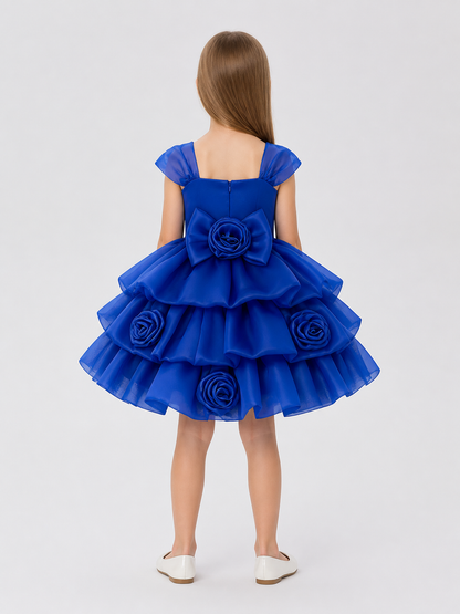 Full Dress with Roses and Bow, Blue back view