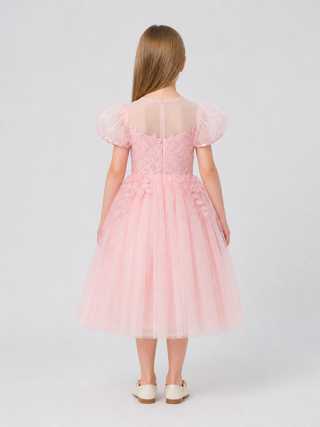 Festive Princess Dress with a Full Skirt and Embroidery back view