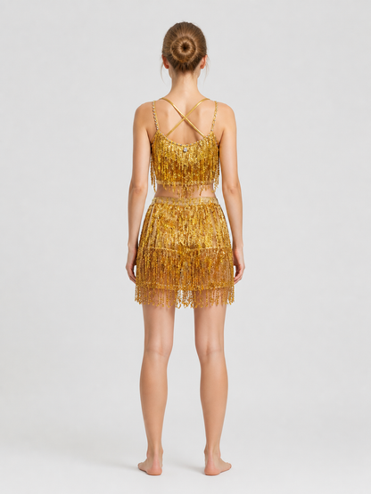 Stage Costume: Sequin and Fringe Top and Skirt back view