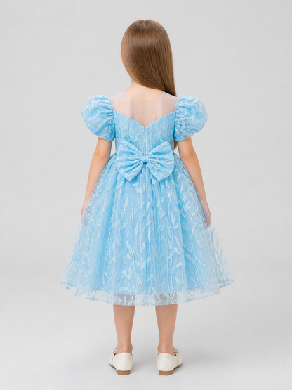 Embroidered Tutu Dress for Birthdays and Performances back view