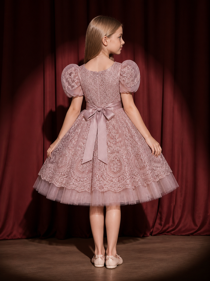 Toddler Girls' Dusty Pink Princess Dress, Embroidered Puff Sleeve Layered Tulle back view