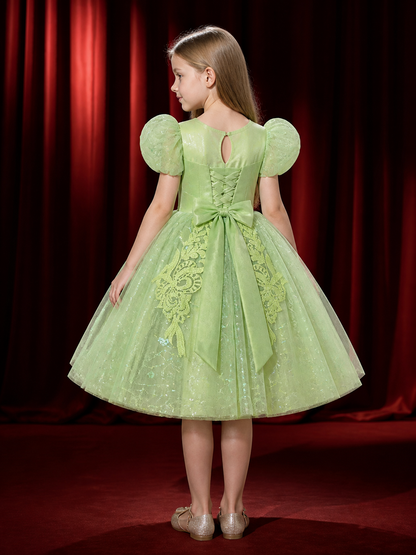 Girls' Mint Green Princess Dress with Puff Sleeves, Sequined Floral Embroidery back view