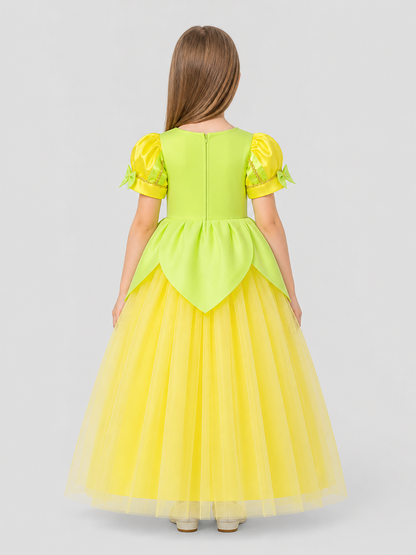 Princess Dress with a Full Skirt and Puff Sleeves