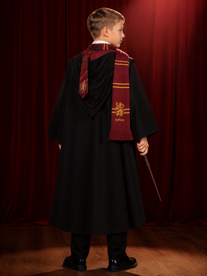 Hooded Wizard Robe Costume Set With Scarf, Tie And Wand back view