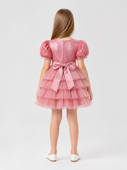 Pink Party Dress with Sequins and a Full Skirt back view