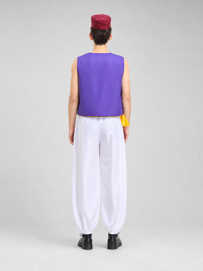 Aladdin Costume with Vest, Harem Pants, and Sash