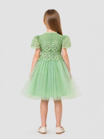 Dressy Girls' Dress with Lace and Full Tulle Skirt back view