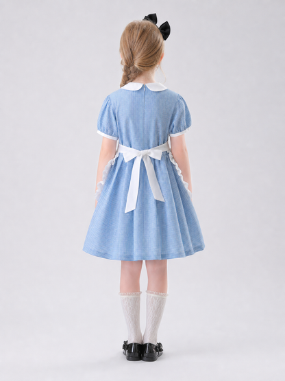 The dress is designed in a retro style, combining a blue-and-white small check pattern with distinctive white details. A white apron-like insert is featured on the front, while the white Peter Pan collar and white waist detail reinforce the