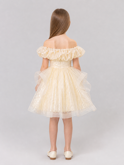 Festive Sequin Dress with a Full Skirt