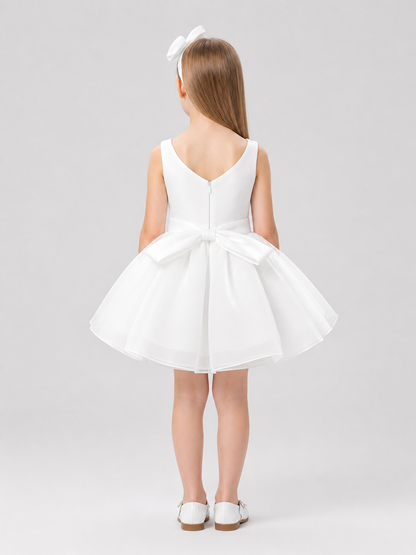 Festive Princess Dress with Full Skirt back view