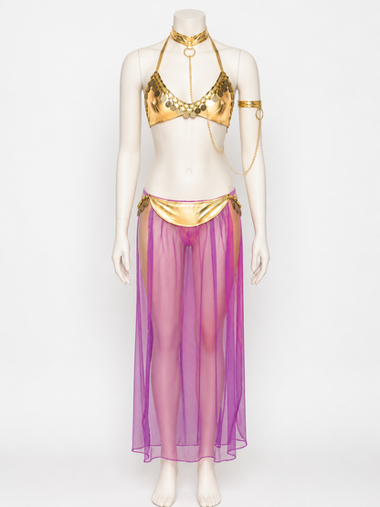 Adult Egyptian Queen Two-Piece Costume, Purple Sheer Skirt and Gold-Decorated back view