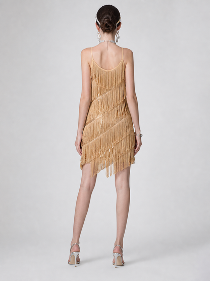 1920s Fringe and Sequin Dress