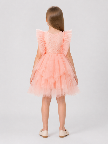 Lace and Tulle Princess Dress for a Birthday