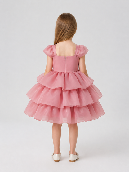 Full-skirt dress with roses for a flower girl at a wedding back view
