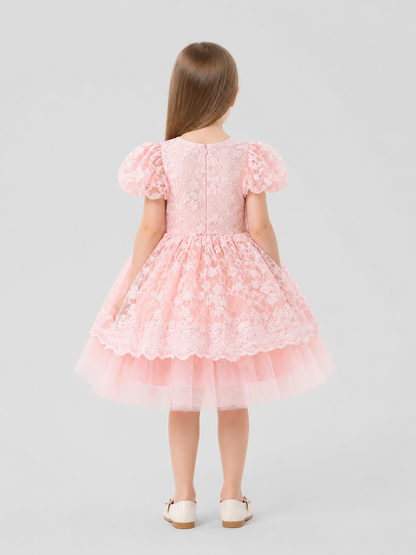 Pink Princess Dress with Lace and Full Skirt back view