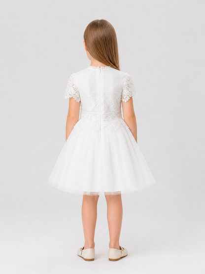 Dressy Lace and Embroidered Dress with Full Skirt back view