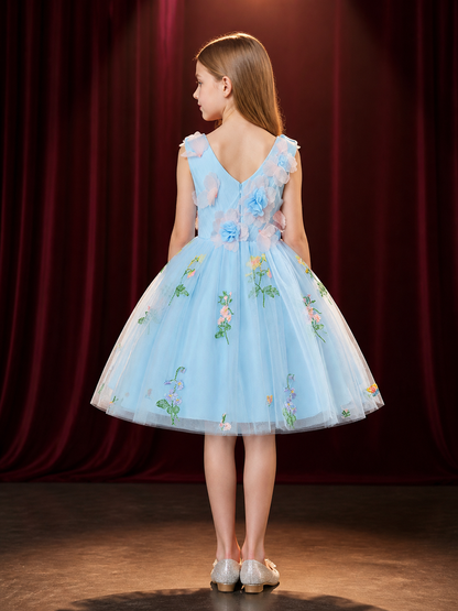 Girls' Sky Blue Princess Dress, Sleeveless Full Skirt With 3D Floral Embroidery back view