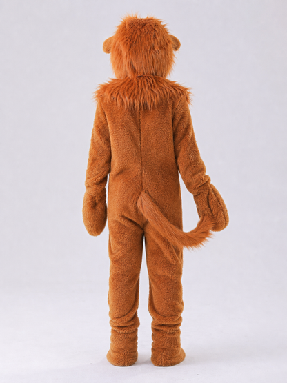 Kids' Lion Costume with Hood and Tail