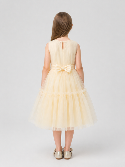 Full Champagne Mesh Dress with Bow back view