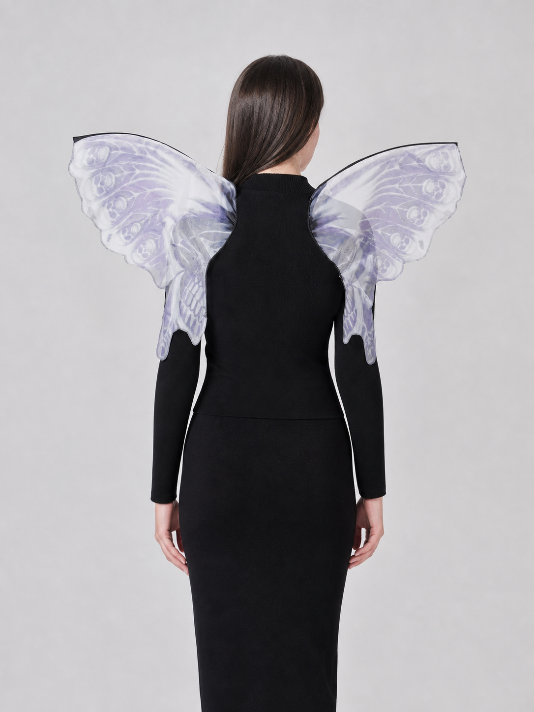 Fairy costume with decorative wings