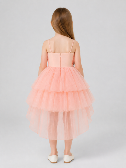 European Tutu Dress with Train for Performances back view