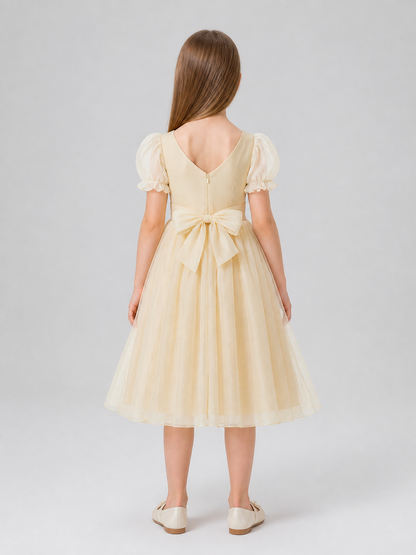 MSL90 Princess Dress with Gold Decoration for Celebrations back view