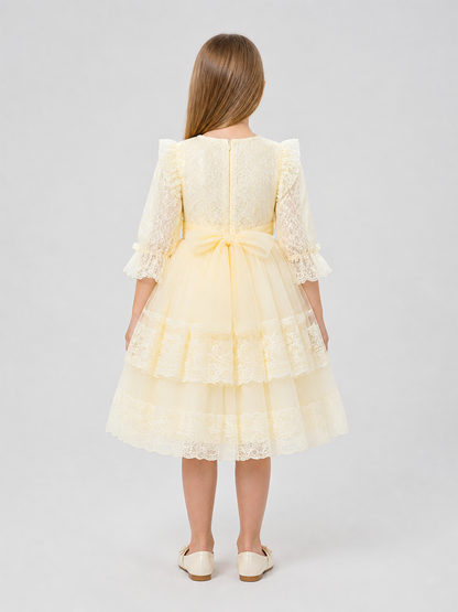 Festive Dress with a Full Tulle Skirt and Lace back view