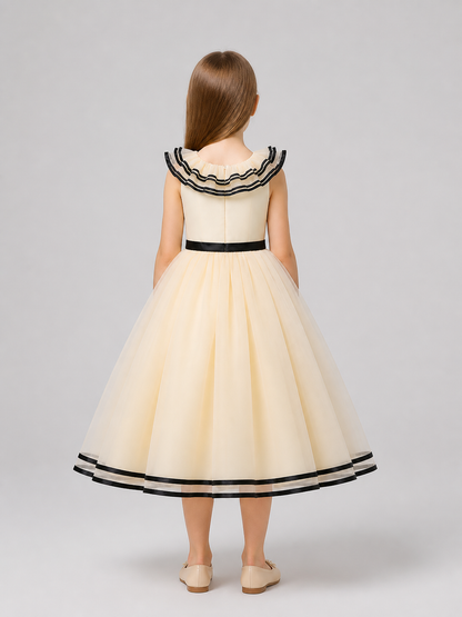 Festive Dress with a Full Tulle Skirt and Bow back view