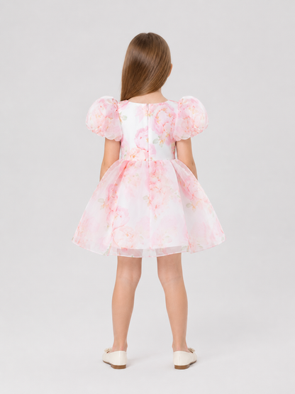 Princess Dress with Floral Print and Full Skirt back view