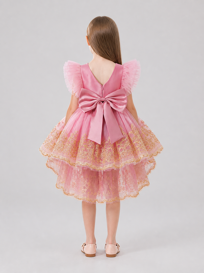 Elegant Full-Skirt Dress with Embroidery and Train for Performances back view