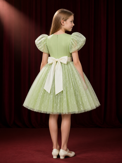 Girls' Light Green Organza Princess Dress, Puff Sleeve Layered Tulle Gown back view