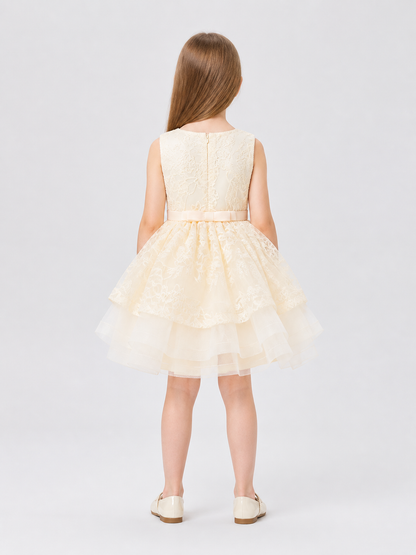 Full Dressy Girls’ Dress with a Tulle Skirt and Bow