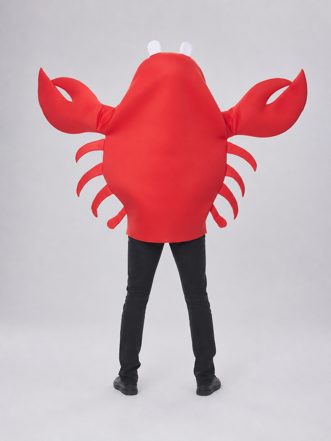 Crab Costume for Halloween and Performances