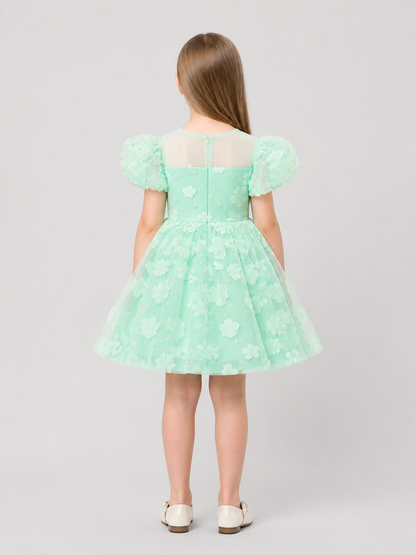 Mint Princess Dress for Girls with a Tulle Skirt back view