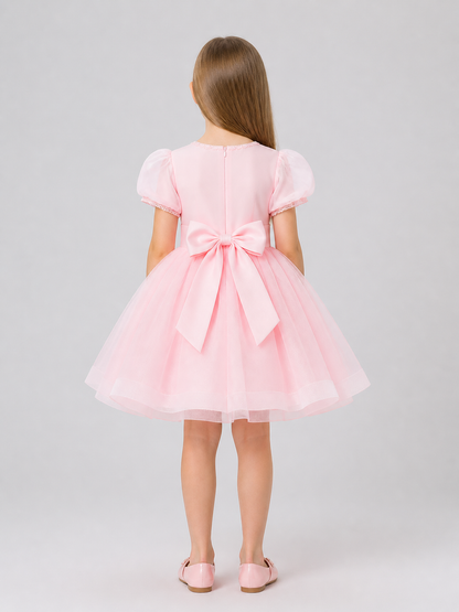 Pink Lace Princess Dress with Full Skirt back view