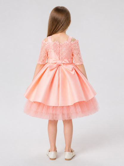 Princess Lace and Tulle Party Tutu Dress back view