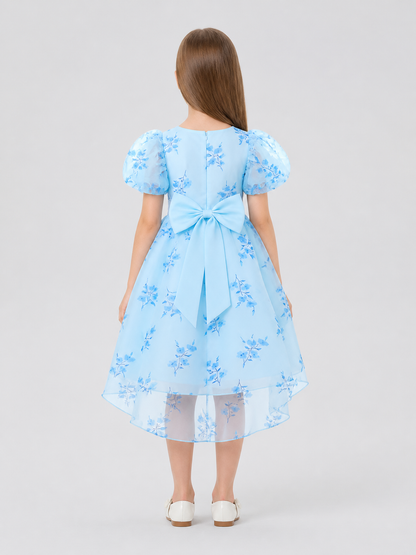 Fancy Dress with Light Blue Floral Print and Bow back view