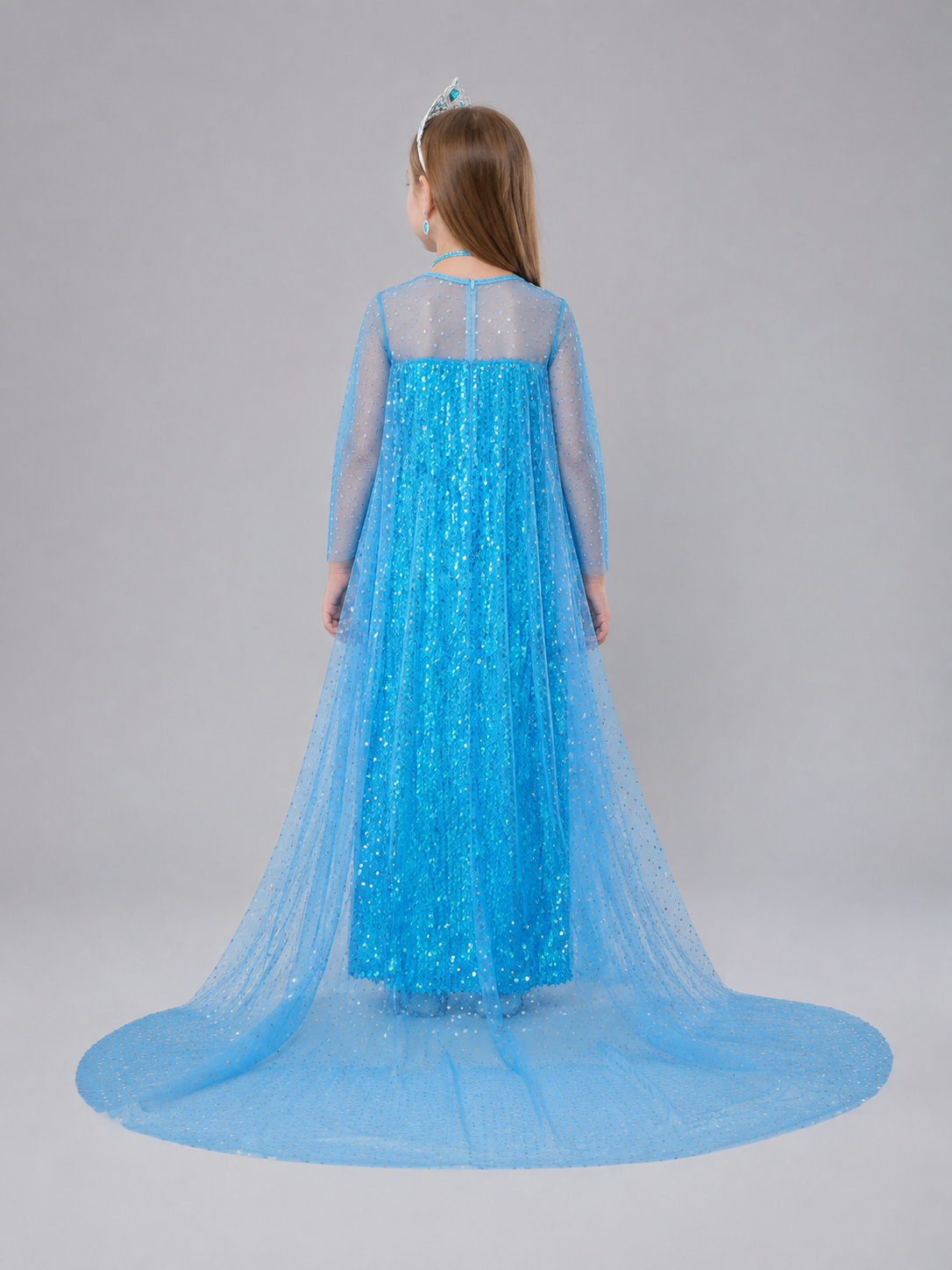 Sequined Costume Dress with a Train back view