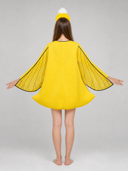 Duck costume with wings and headband