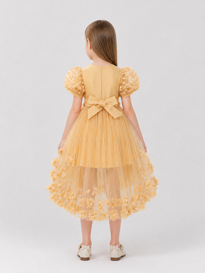 Full Lace Dress with Train for Performances