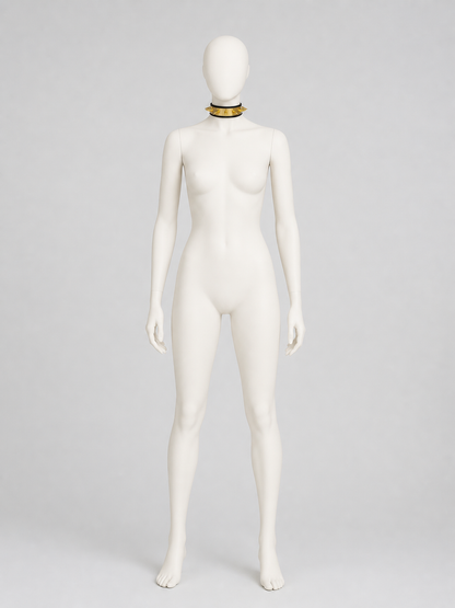 Decorative Black and Gold Spiked Collar back view