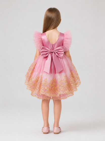 Princess Flower Girl Dress with Wings and Embroidery back view