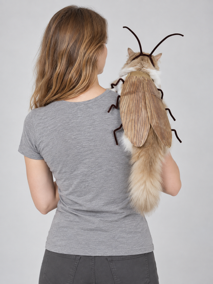 Cat Cockroach Costume with Wings and Antennae