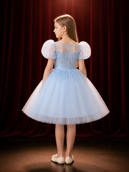 Baby Girls' Princess Party Dress, Sky Blue Tulle Gown With Puff Sleeves And back view