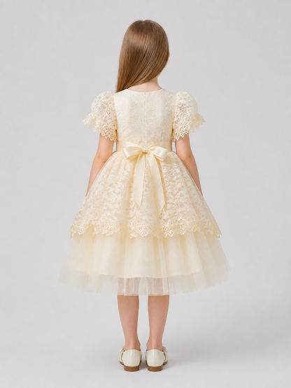Elegant lace dress with a full skirt and bow back view