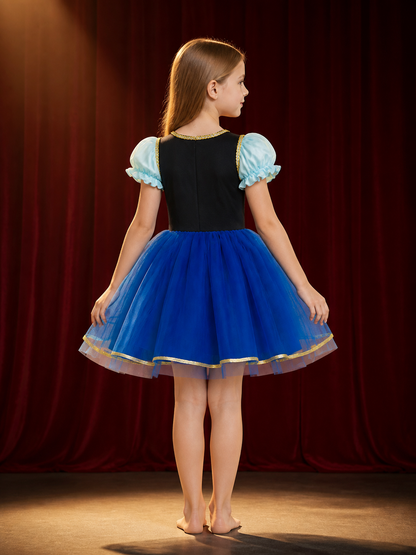 Girls' Blue Princess Cosplay Dress With Floral Embroidery And Layered Tulle back view