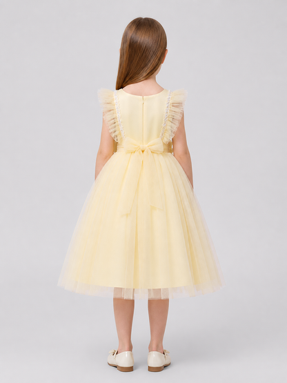 Formal Tutu Dress with a Multilayer Tulle Skirt back view
