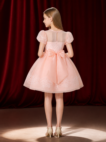 Girls' Pink Princess Dress with Lace Trim, Large Bow, and Puff Sleeves back view