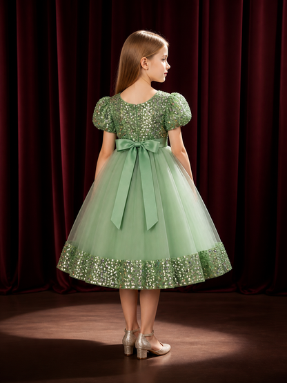 Baby Girls' Princess Dress with Sequins, Layered Tulle Skirt and 3D Flowers back view