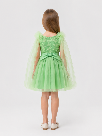 Mint Green Embroidered Princess Dress for Girls back view